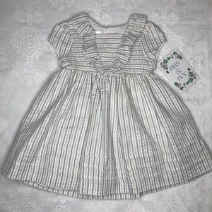 Iris & Ivy Seersucker Striped Dress 2T NWOT
